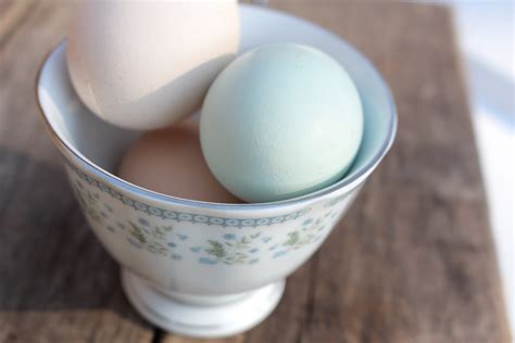 If the eggs are blue, they are not bad. | Gadgetonus