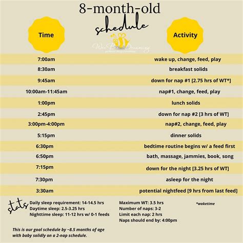 NEW & IMPROVED! UPDATED 2022! Sample Schedules for the First Year and Beyond — Wee Bee Dreaming ...