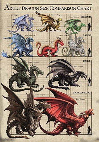 Age Of Dragons Adult Size Chart Fantasy Art Anne Stokes | Desertcart INDIA