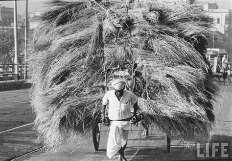 A Man carrying a Cart loaded with Hay in a Calcutta (Kolkata) Street ...