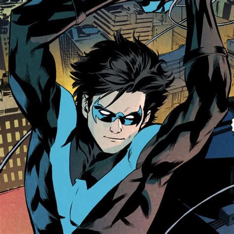 Nightwing Btas 的图像结果