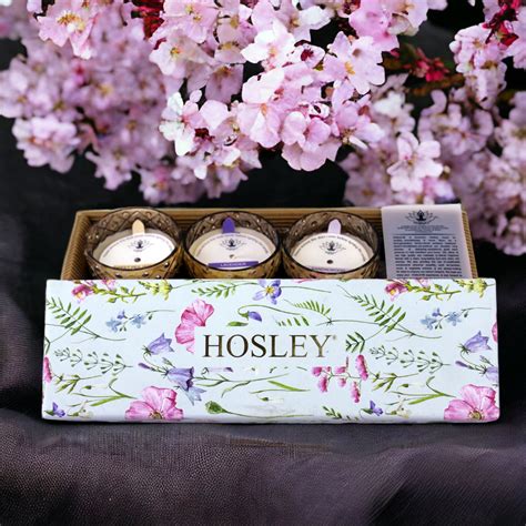 Hosley® Set of 3 Scented Gold Glass Candles with Ceramic Incense Stick ...