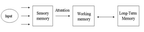 Image result for Working Memory Model