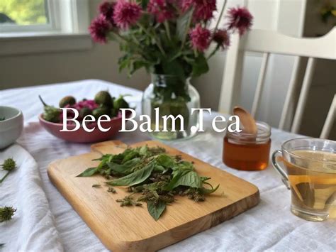 Bee Balm Tea Recipe: 7 Powerful Soothing Benefits to Sip Daily
