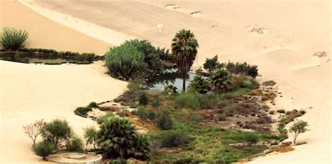 How to Find Water in the Desert: the Most Reliable Sources