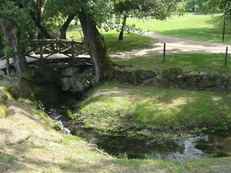 PARQUE DA CIDADE DE PAREDES (2026) All You Need to Know BEFORE You Go ...