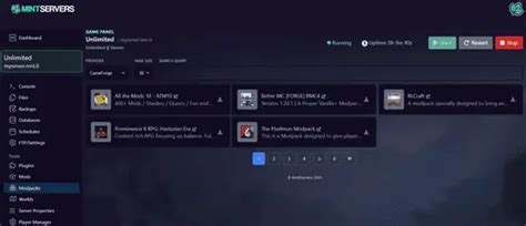 Image result for Homestead Modpack Multiplayer Server