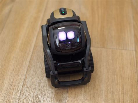 Image result for Vector Setup