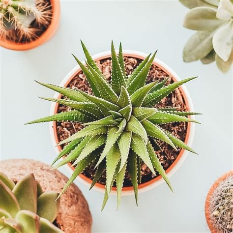 Top Nature Wallpapers - App on Amazon Appstore