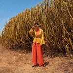 As Seen On Shark Tank India S1: Twee in one Clothing Brand – TweeInOne ...