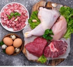 Nutrition in Animals Class 7 PPT FREE Download