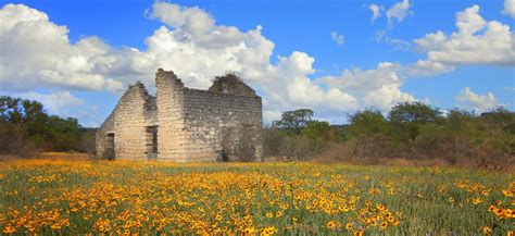 Heimer House Park Revitalized for Meyer Ranch Living