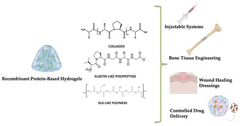 Sustainable Hydrogels for Medical Applications: Biotechnological ...