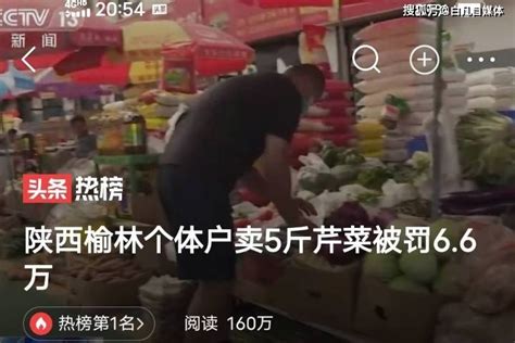 陕西榆林个体户卖5斤芹菜被罚6.6万_夫妇卖芹菜后遭罚6.6万 当地被督查_发展_典型