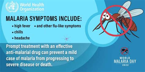 WHO observes World Malaria Day | health | malaria | WHO