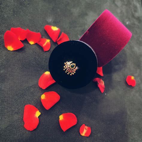 NILA DROP NOSE PIN – Aahaanamooguthi