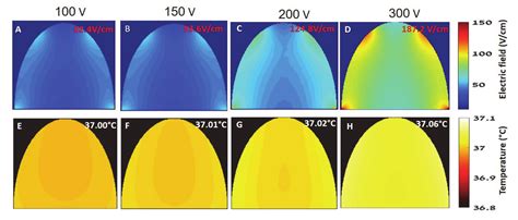 Non-Invasive Low Pulsed Electrical Fields for Inducing BBB Disruption ...