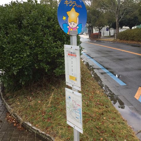 KIRARA-CHAN BUS (2026) All You Need to Know BEFORE You Go (with Photos ...