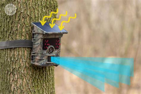 Image result for How to Use a Trail Camera