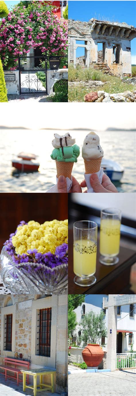 Foça , Lale Surubu, Turkiye 2 | SOFRAMIZ.com