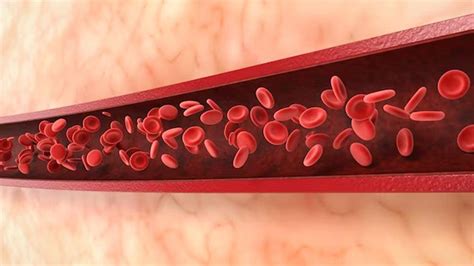 Low Hemoglobin Symptoms: આ વિટામિનની ઉણપને કારણે હંમેશા લો રહે છે ...