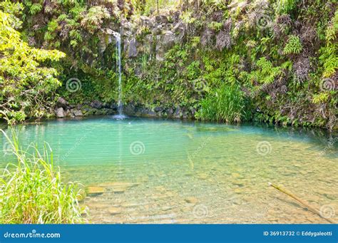 Image result for Spring-Fed Pool