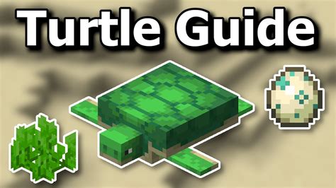 Turtle Tutorial Minecraft 的图像结果