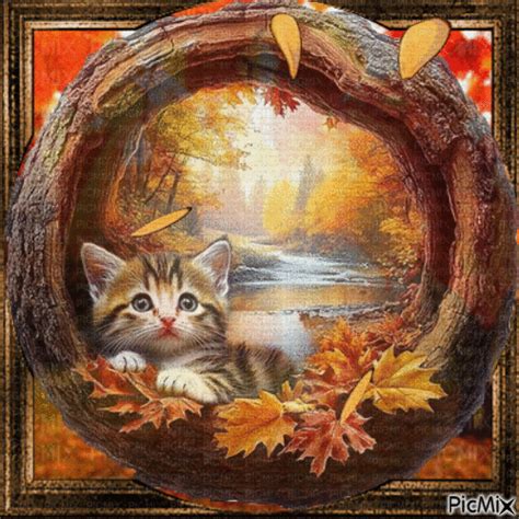 Chat en automne - GIF animé gratuit - PicMix