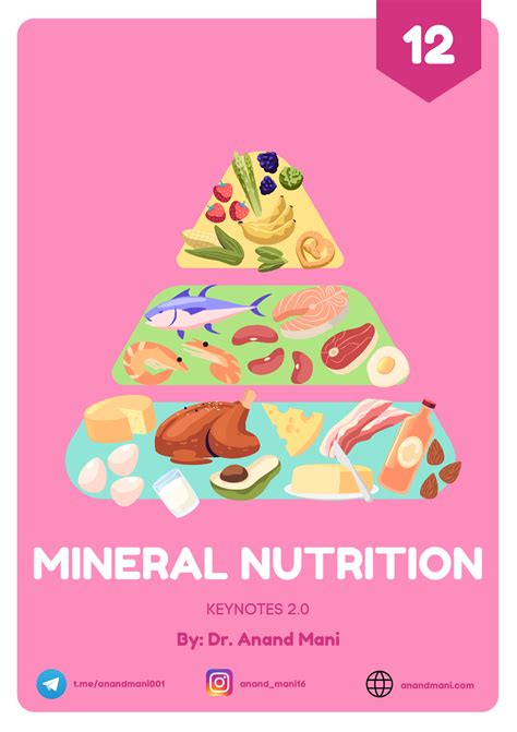 Mineral Nutrition - biology notes - MINERAL NUTRITION 12 ...