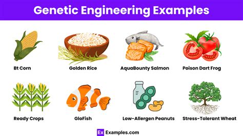 Genetic Engineering