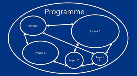 Image result for Project Programming Definition