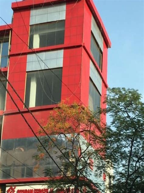 SITARAM FEROZILAL JAIN (P) LTD . Pine wood in Delhi | Pine wood ...