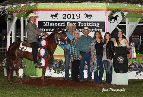 Us Trotting Horse Association _ USTA Racing - ODMC