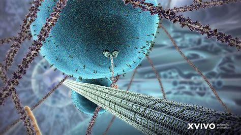 Behavior Science Desktop Background 的图像结果