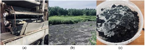 Comparative Analysis of Sewage Sludge Characteristics After Natural ...