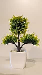 Buy Xoze Yellow & Green Artificial Plant/Artificial Flora Decorative ...