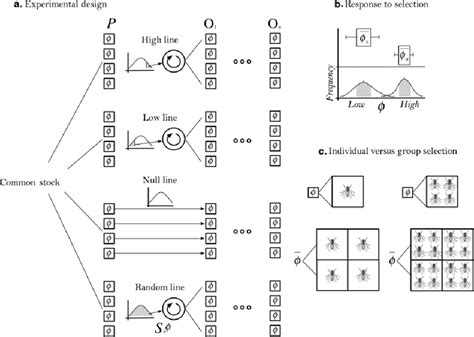 Compound Selection Statistics 的图像结果