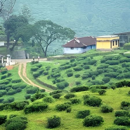Kumily Idukki - Hi Idukki Tourist Places