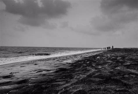 Thottappally Beach (Alappuzha) - 2020 What to Know Before You Go (with ...