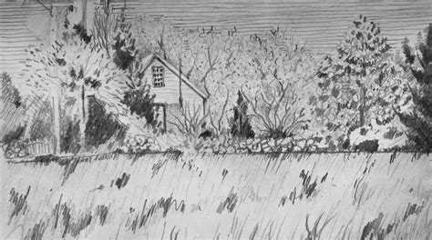 Image result for Nature View Drawing