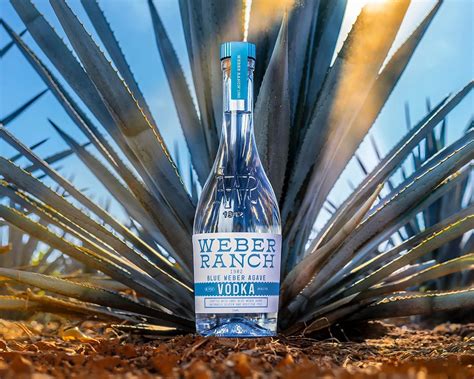 This Vodka You've Never Heard Of May Redefine the Market | Gear Patrol