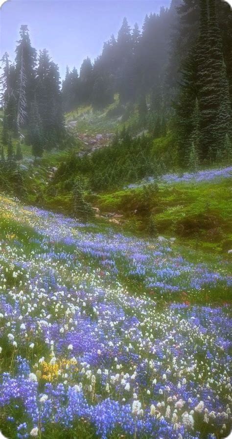 Japan Pretty Places 的图像结果