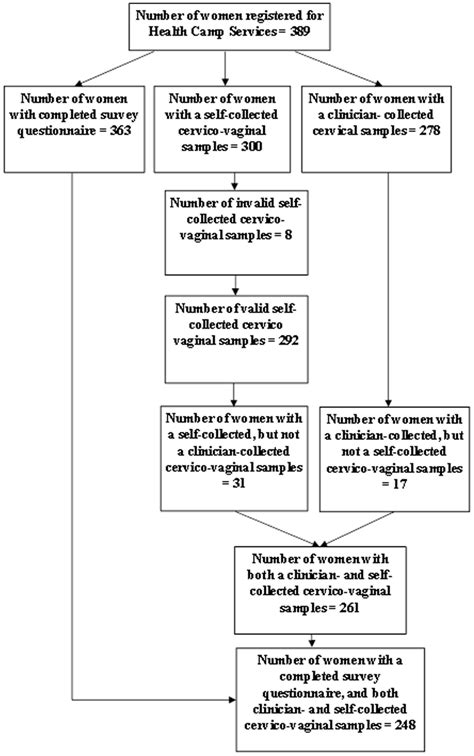 Image result for Algorithm Sample Size Increasing
