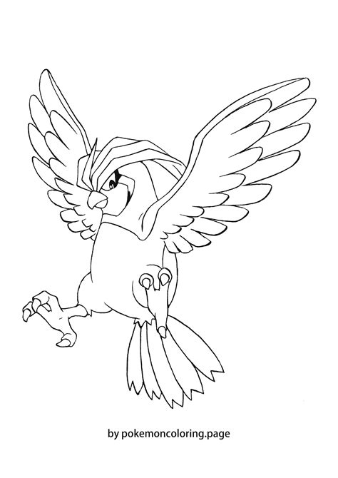 Image result for Pidgeotto Color Pages