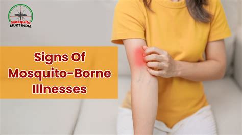 Signs You're Suffering From A Mosquito-Borne Illness | OnlyMyHealth