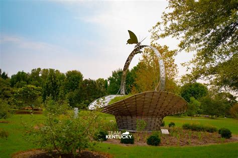 Flowers Owensboro Ky | Best Flower Site