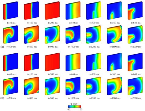 Image result for Transmembrane Potential