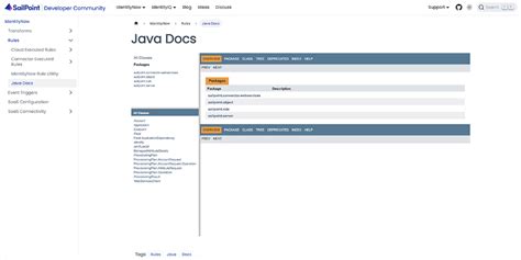 Image result for Java for SailPoint Developer