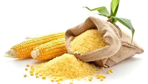 Cornmeal in canvas bag and corncob with leaves isolated on white ...