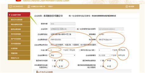 宁夏工商局企业年报网上申报流程及入口-【宁夏企业信用信息公示系统】